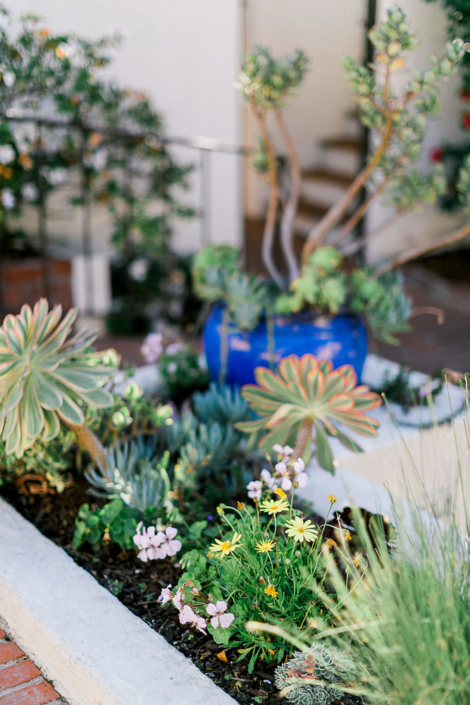 Beach Wedding Succulent Display