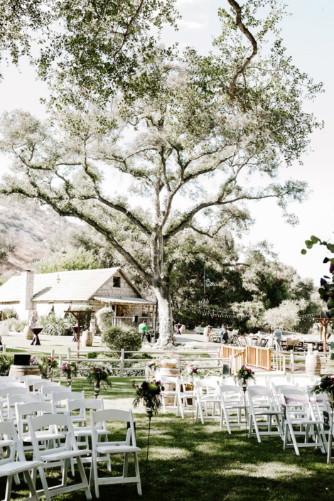 Rustic Wood Wedding Tree